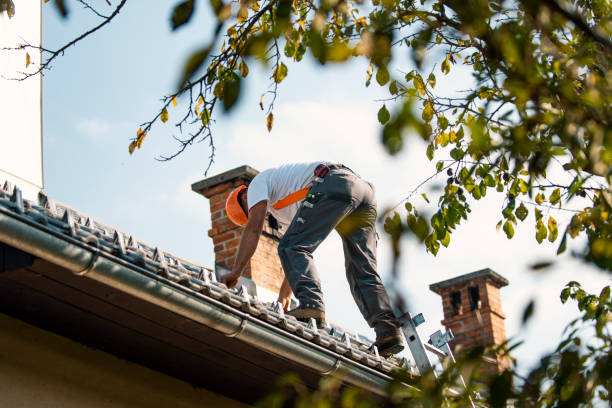 Best Roof Gutter Cleaning  in Palmetto Bay, FL