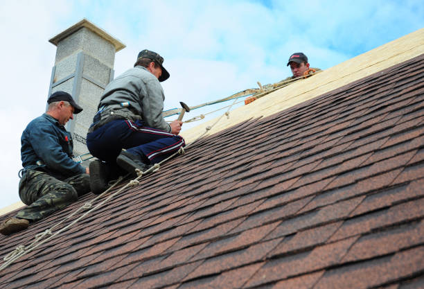 Best Flat Roof Repair Services  in Palmetto Bay, FL
